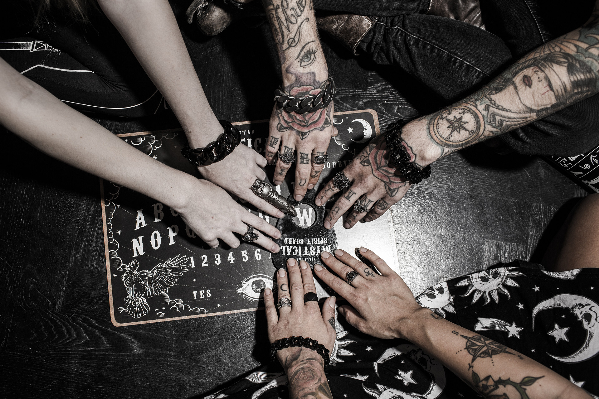 Wildcat Ink studio